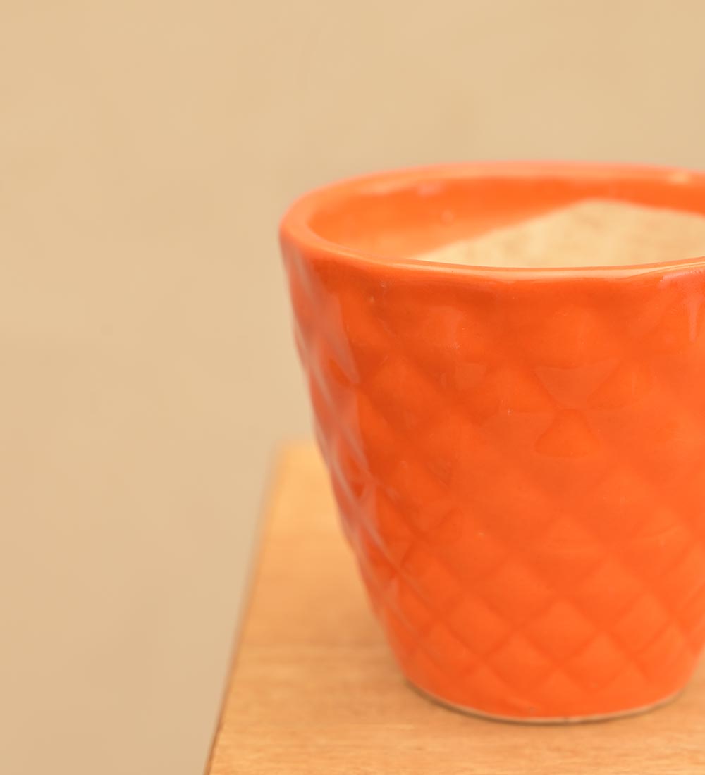 Firecracker Ceramic Planter