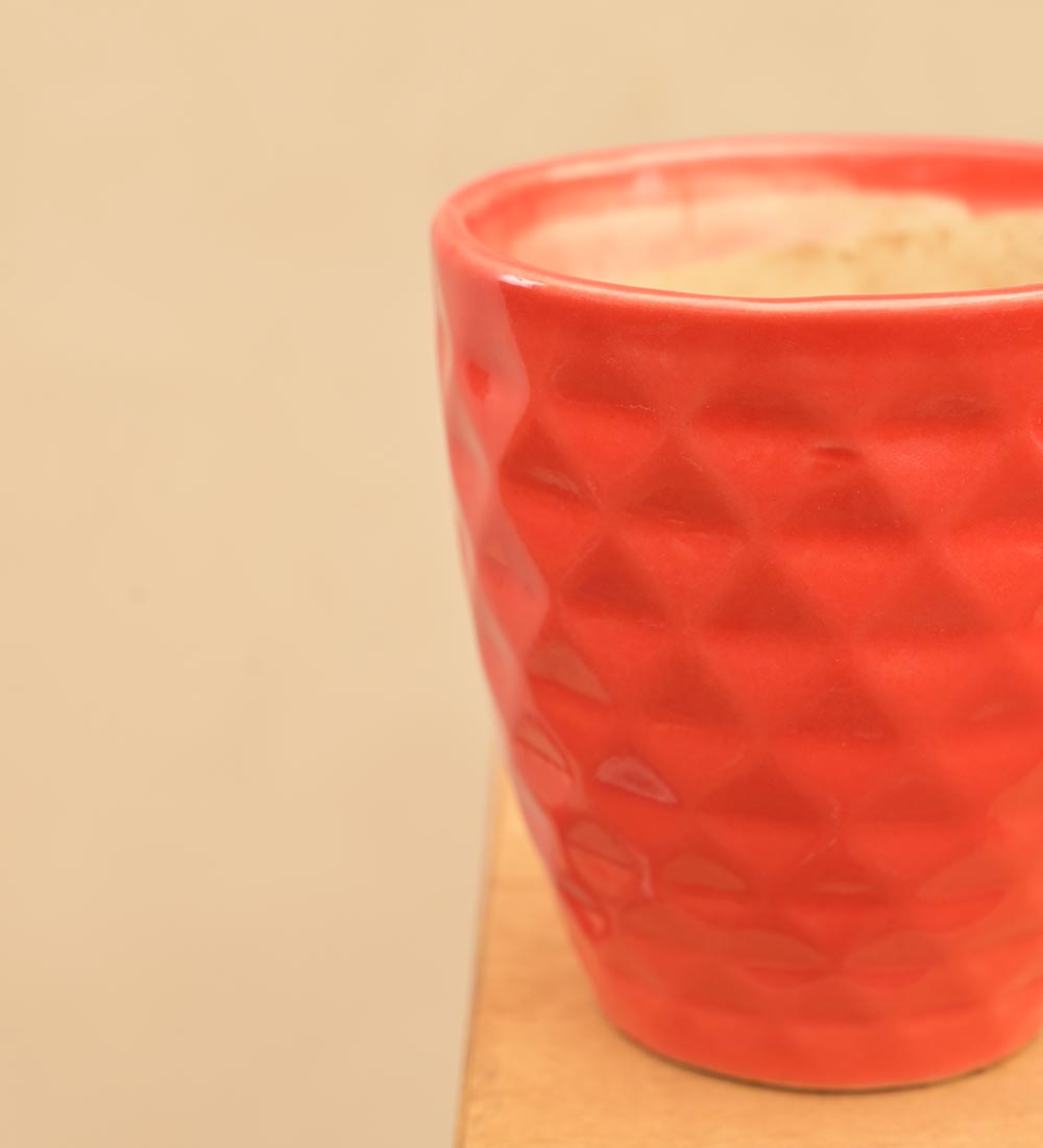 Firecracker Ceramic Planter