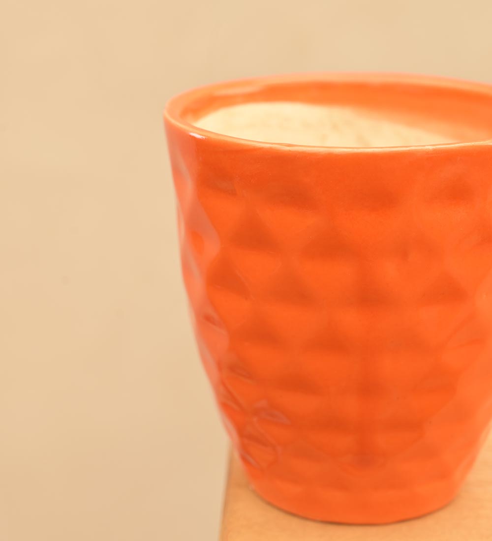 Firecracker Ceramic Planter