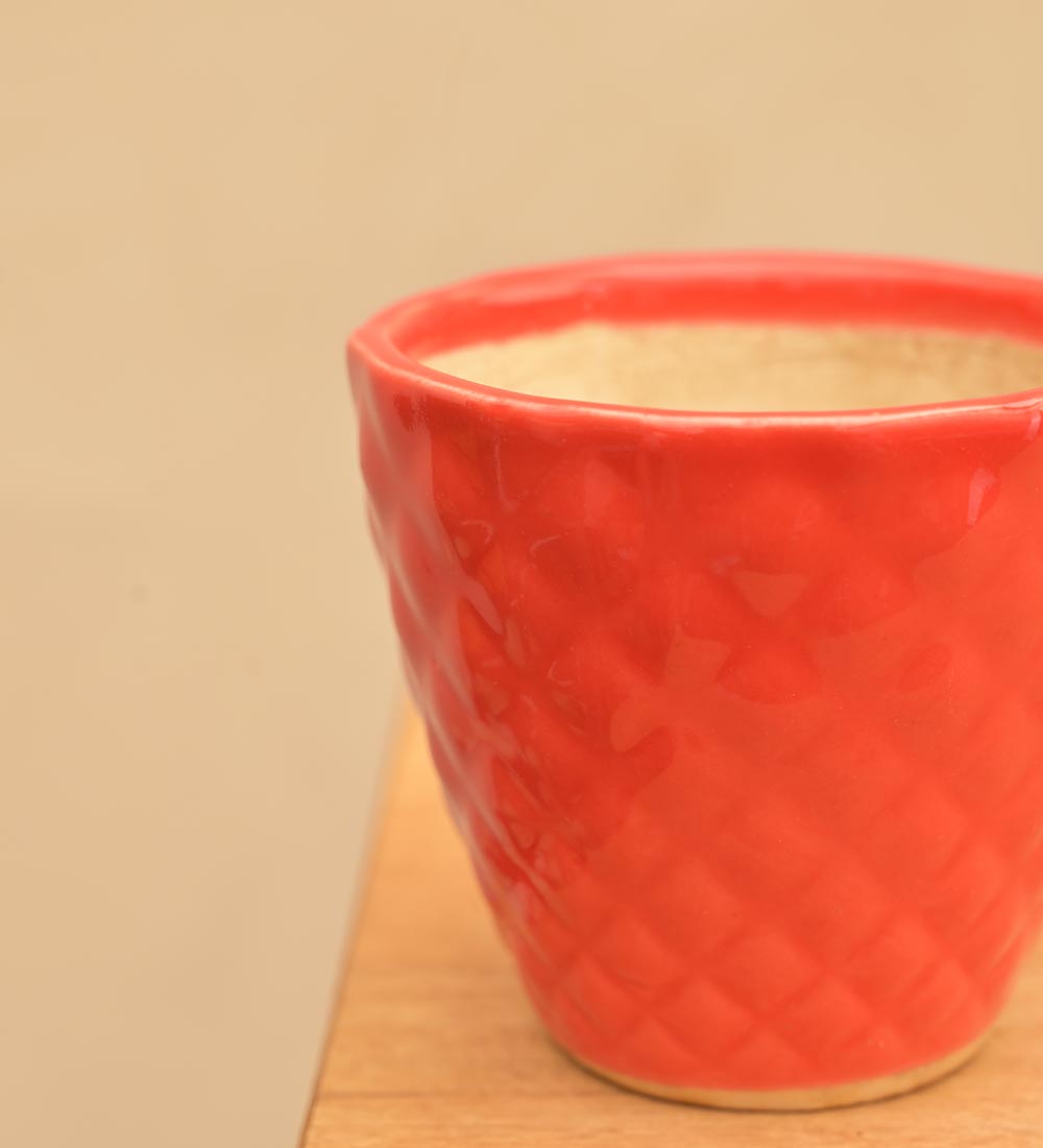 Firecracker Ceramic Planter