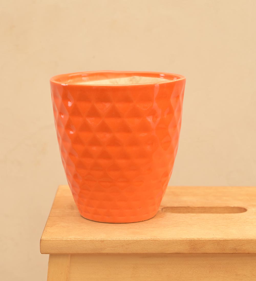 Firecracker Ceramic Planter