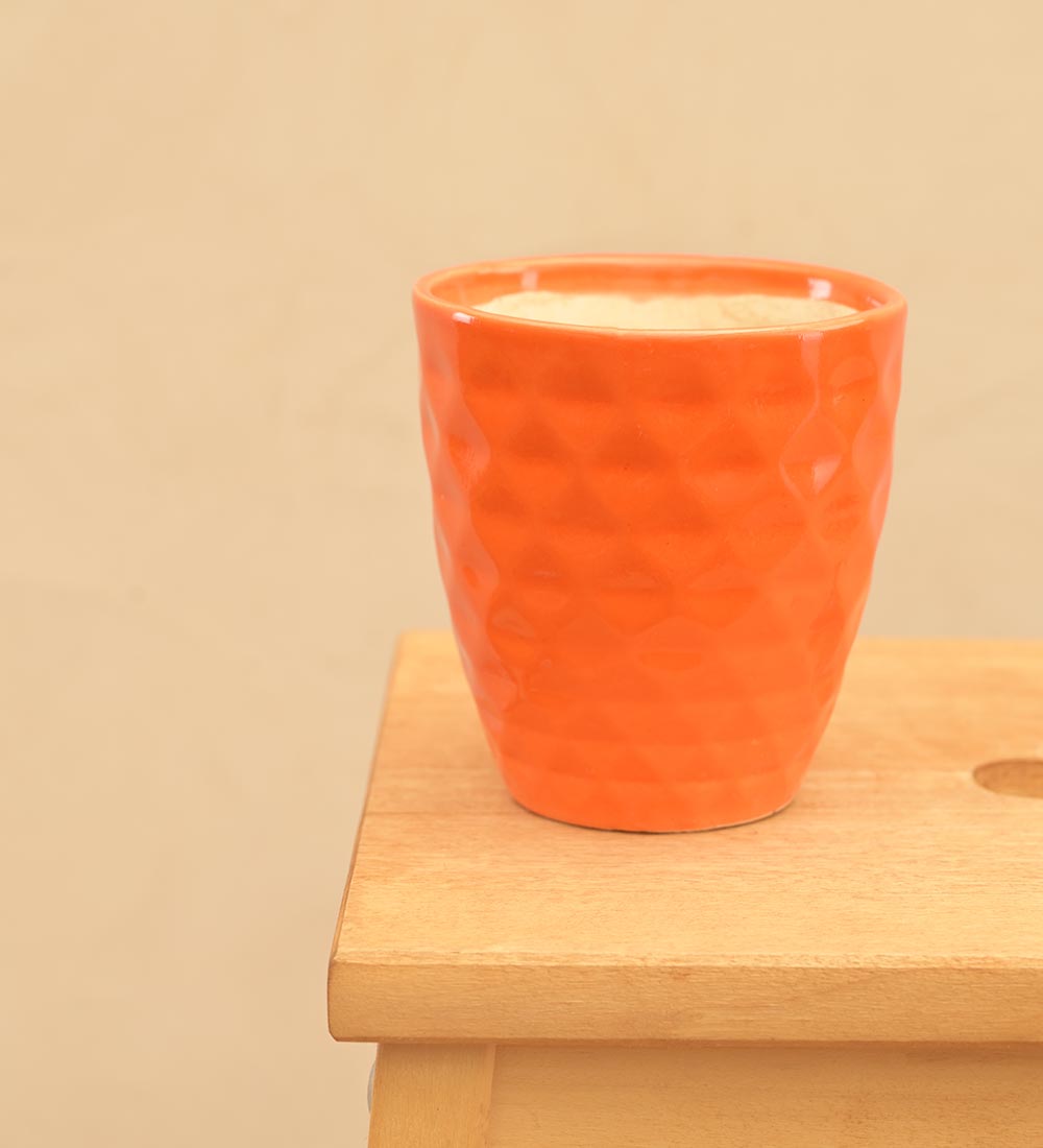 Firecracker Ceramic Planter