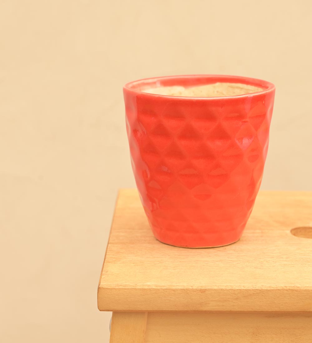 Firecracker Ceramic Planter