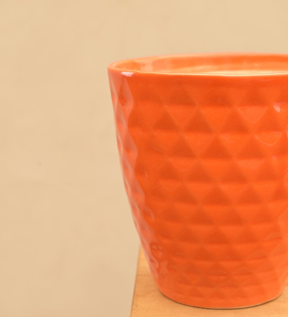 Firecracker Ceramic Planter