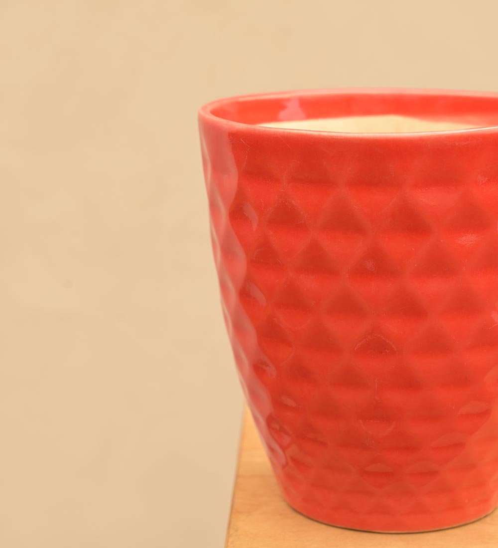 Firecracker Ceramic Planter