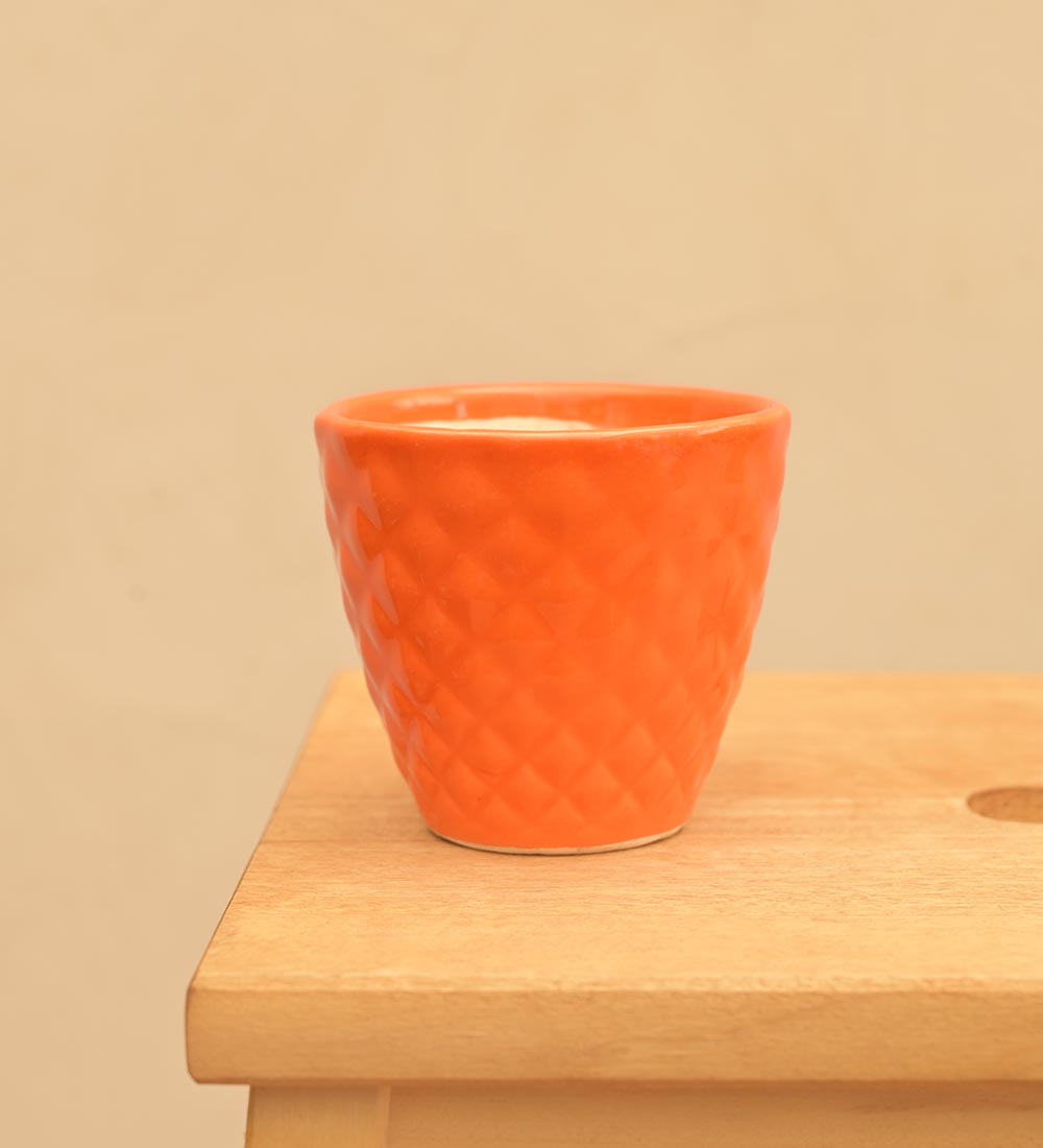 Firecracker Ceramic Planter