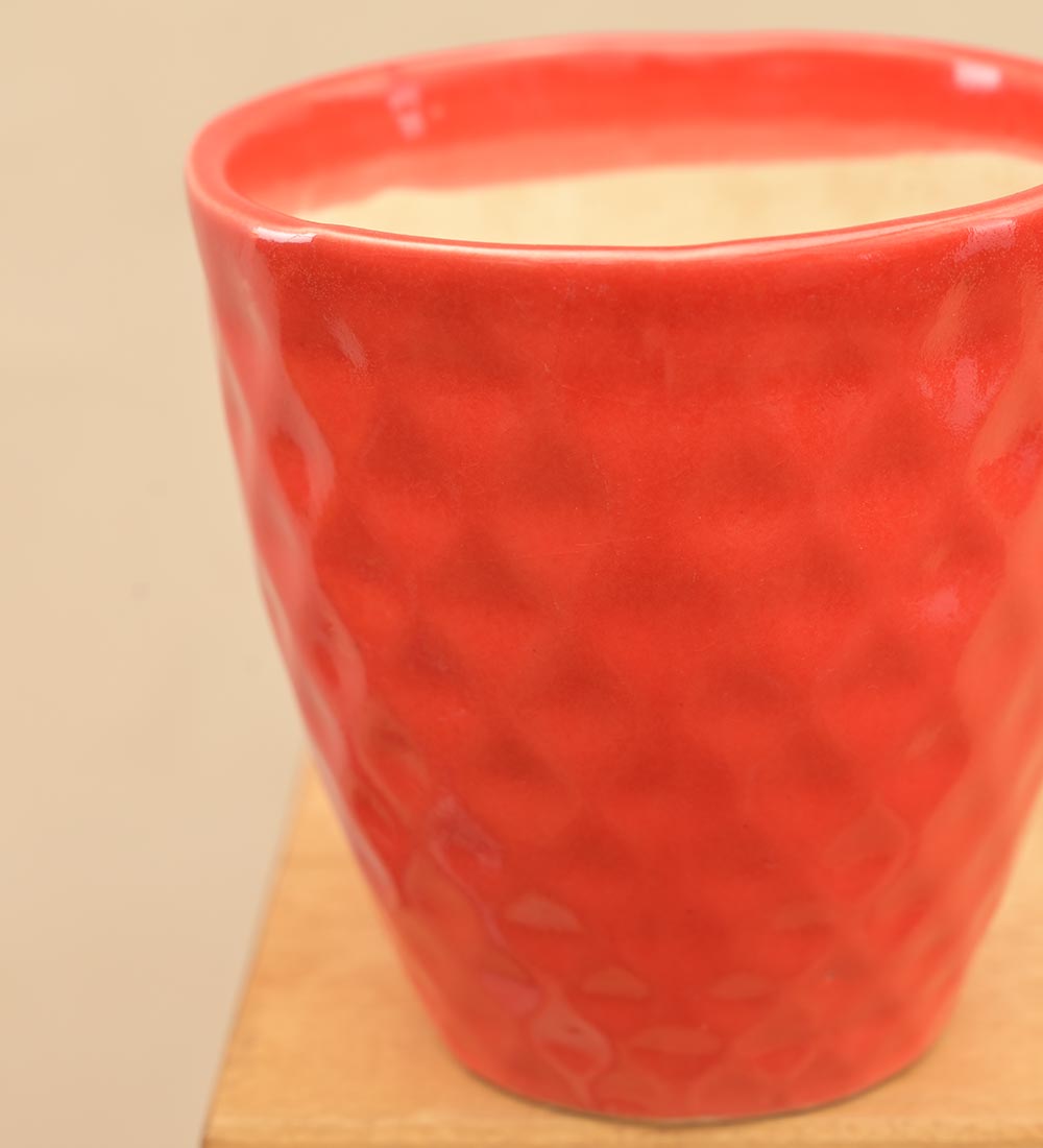 Firecracker Ceramic Planter