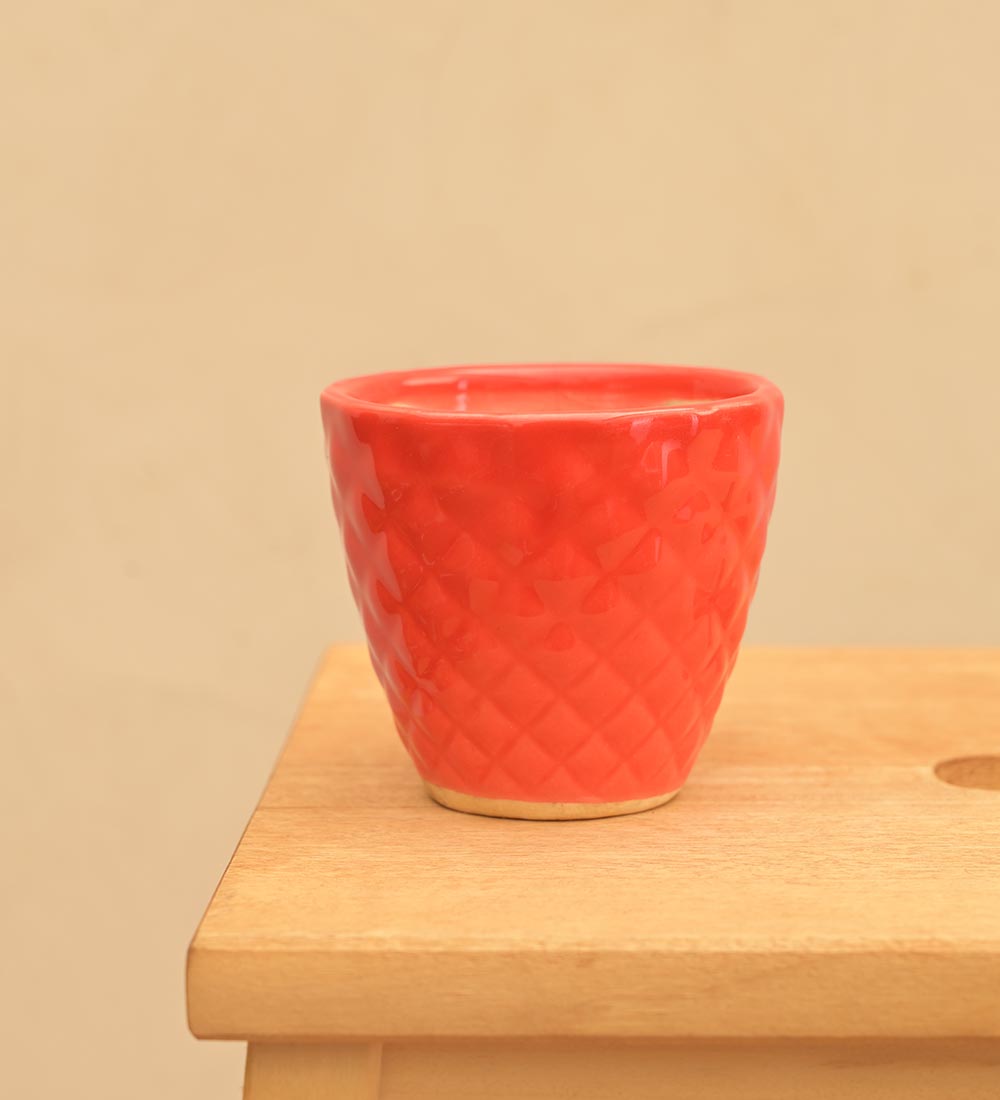 Firecracker Ceramic Planter
