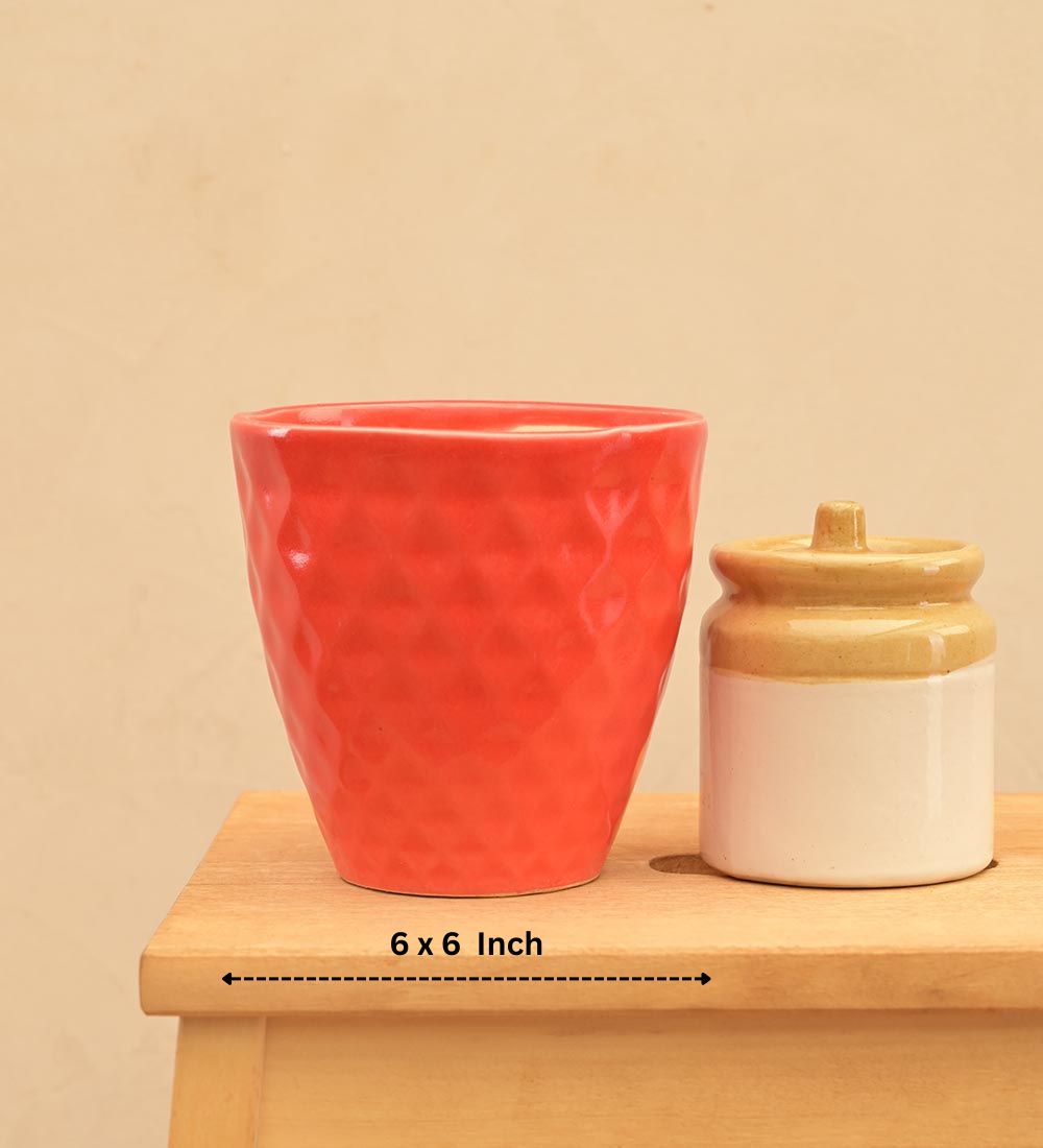 Firecracker Ceramic Planter