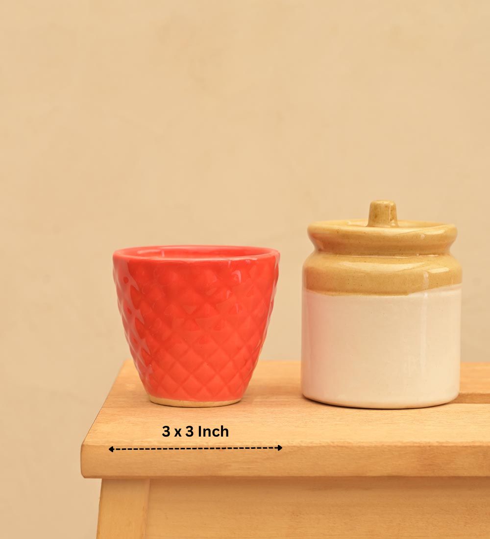 Firecracker Ceramic Planter