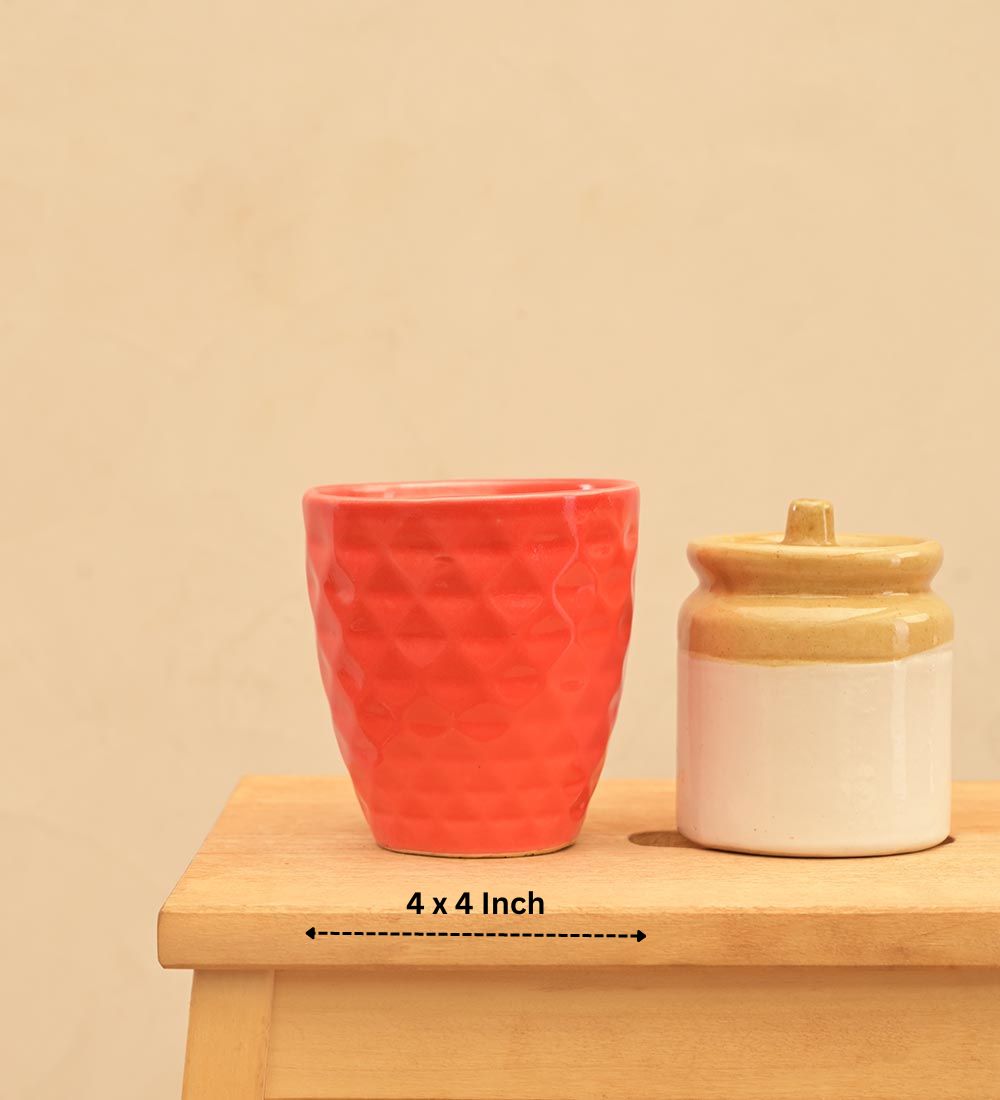 Firecracker Ceramic Planter