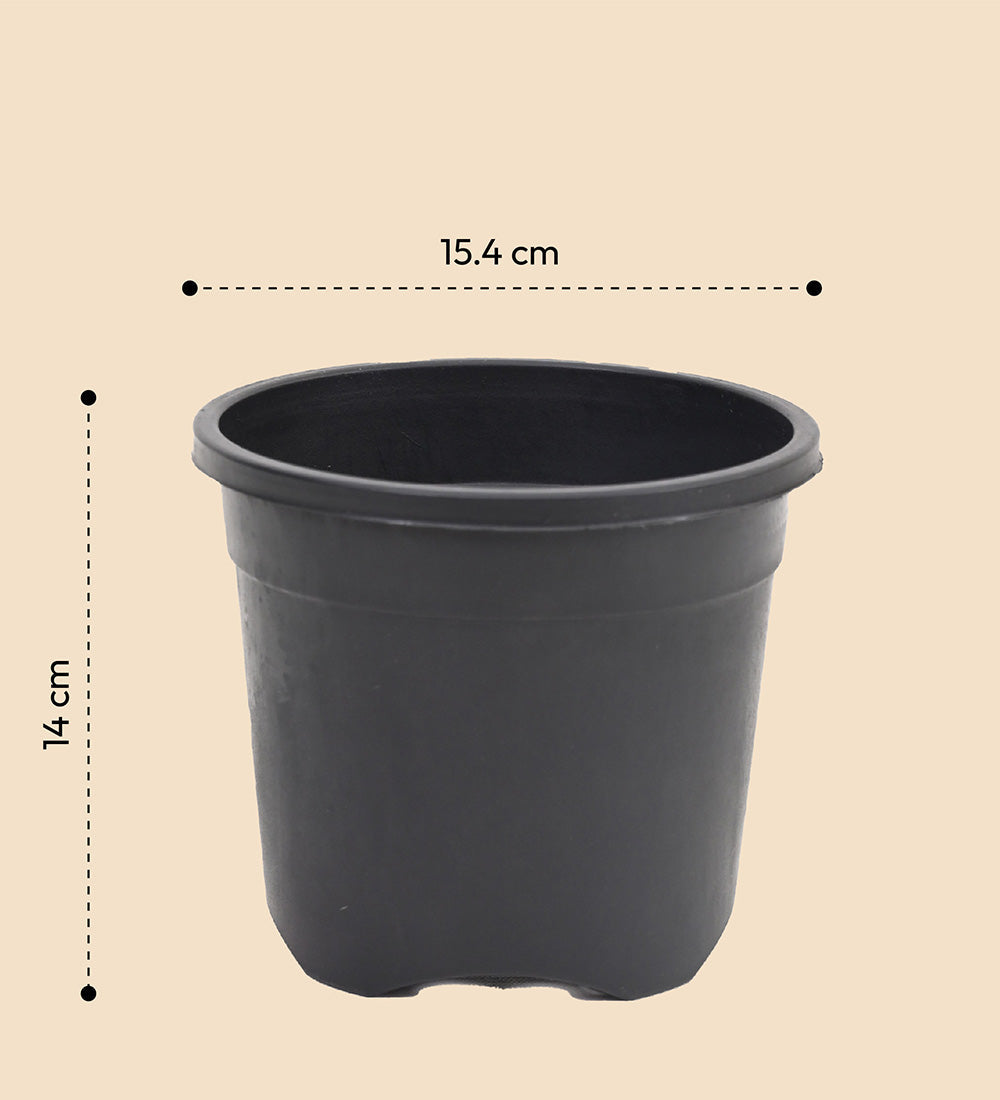 Gardening Pots - Black