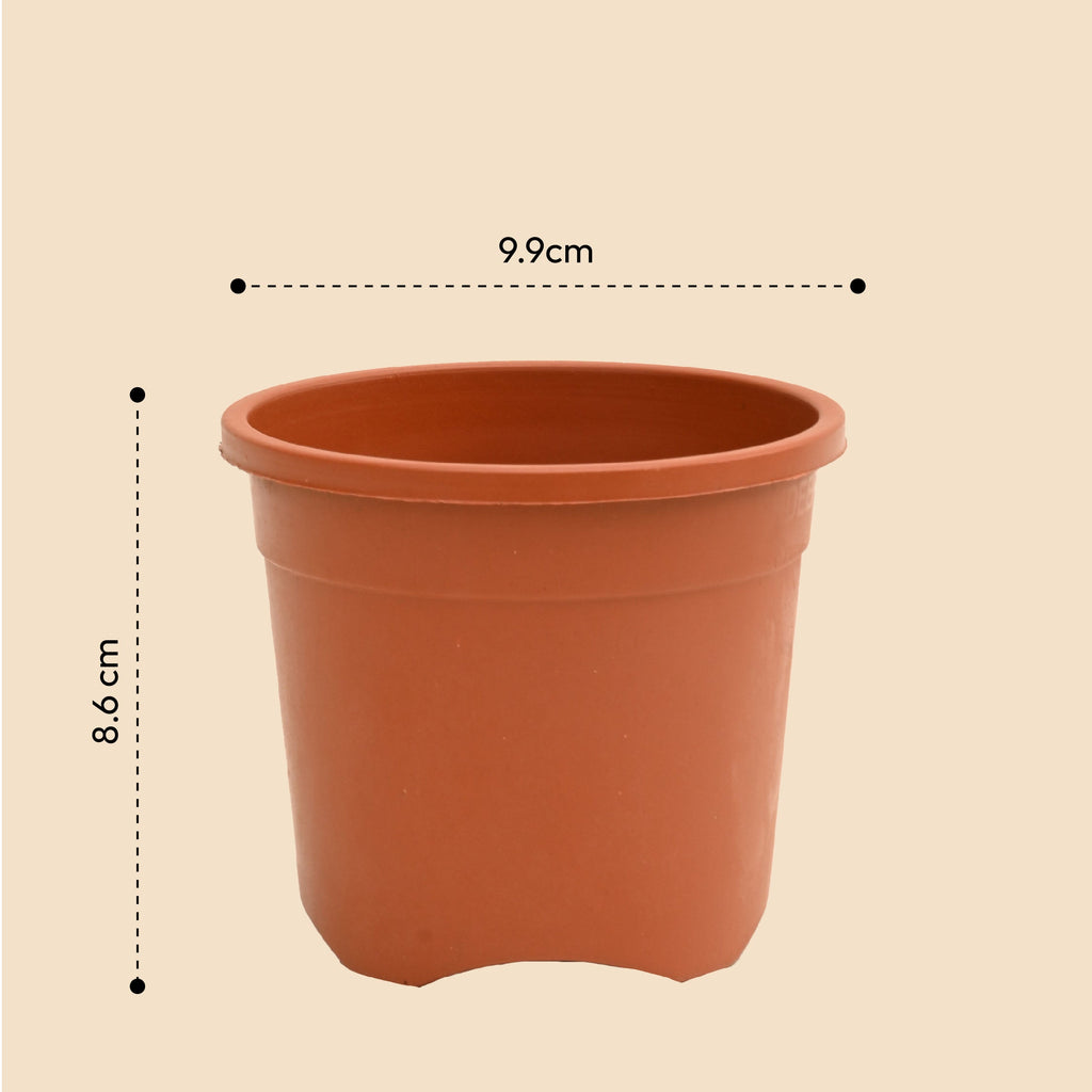 Gardening Pots - Terracotta Color