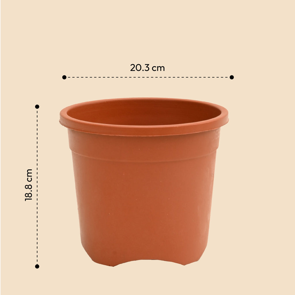 Gardening Pots - Terracotta Color