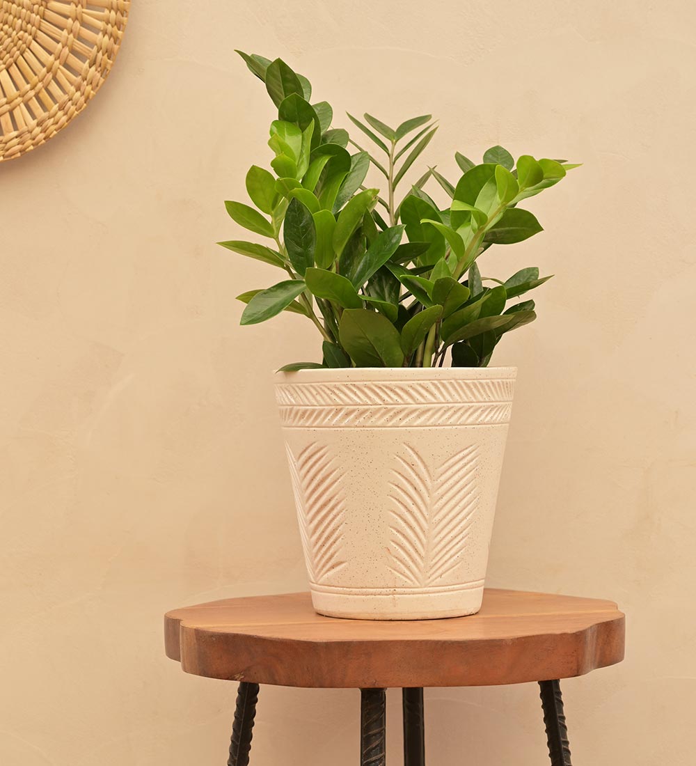 Embosse Ceramic Planter