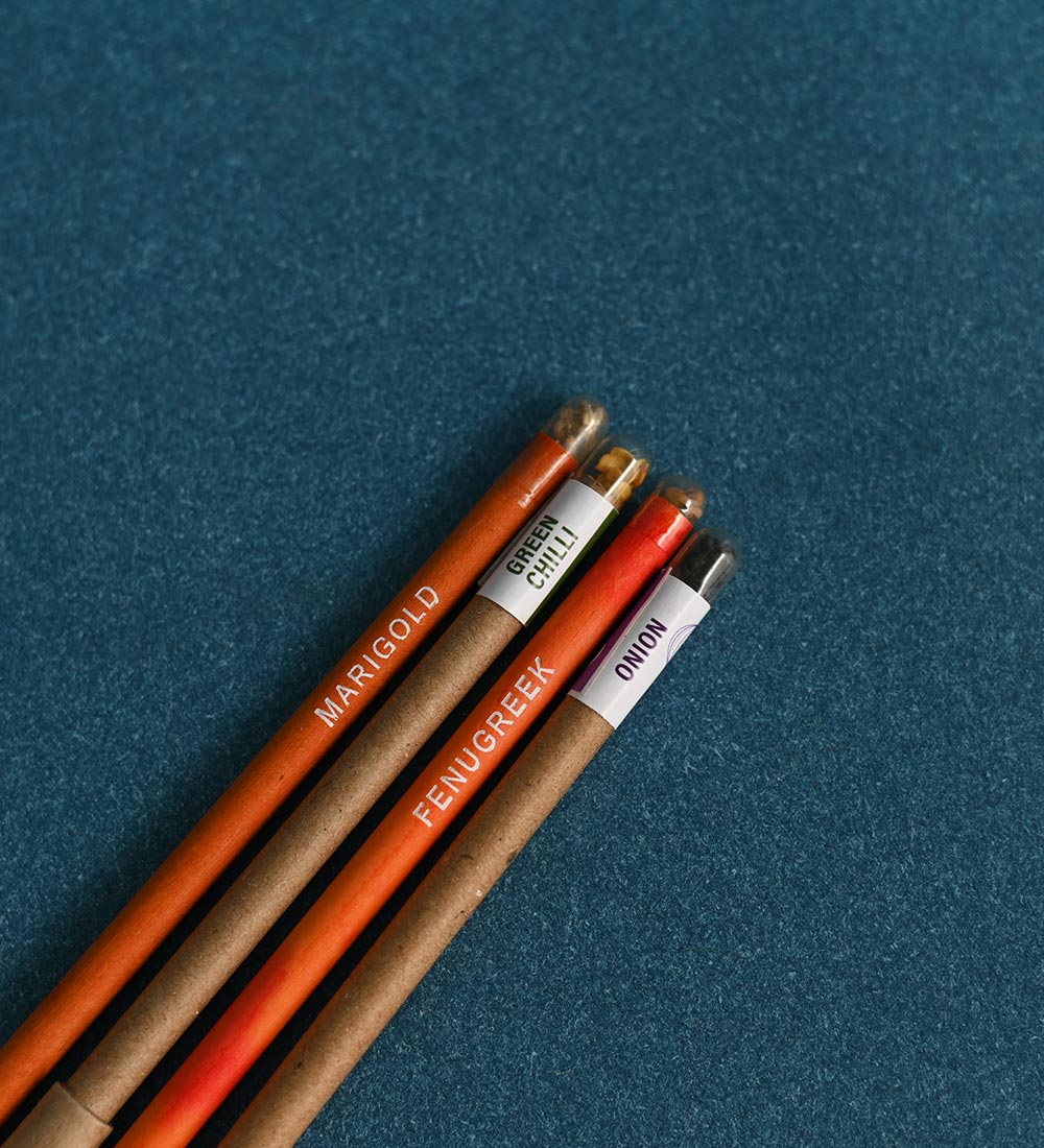 Philodendron Ceylon Golden Plant with Gift Hamper