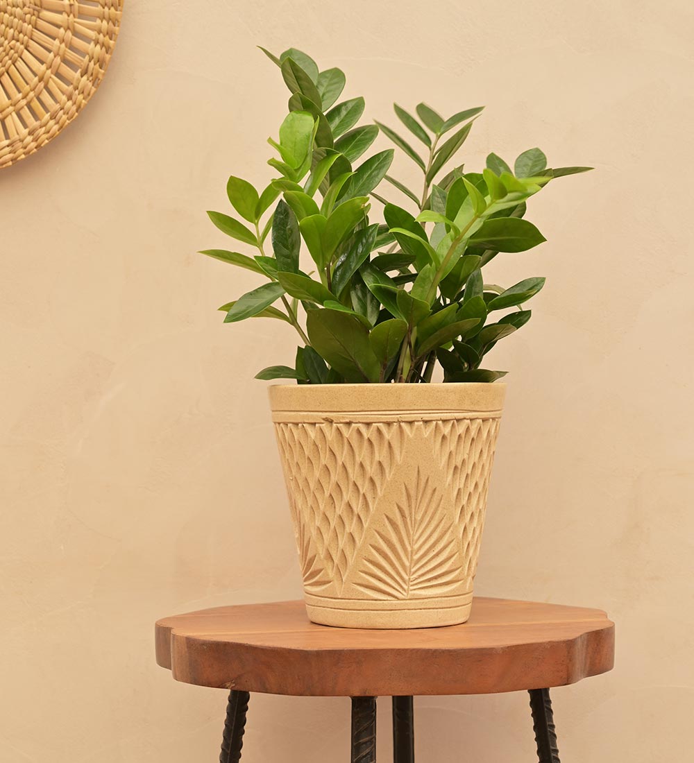 Embosse Ceramic Planter