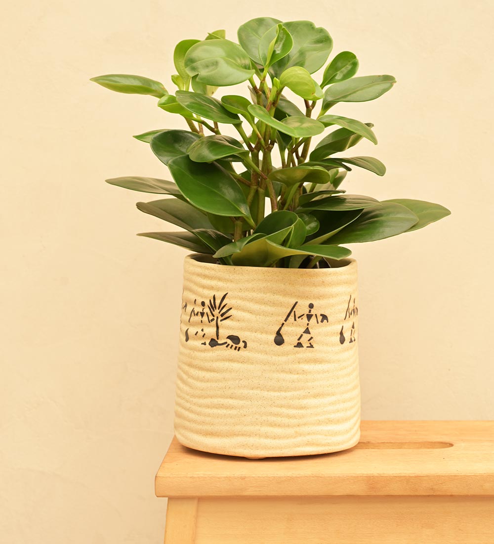 Sea Breeze Ceramic Planter