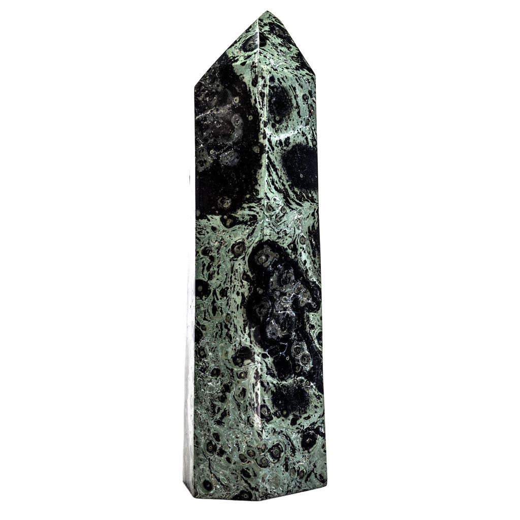 Kambaba Jasper Point 2944g