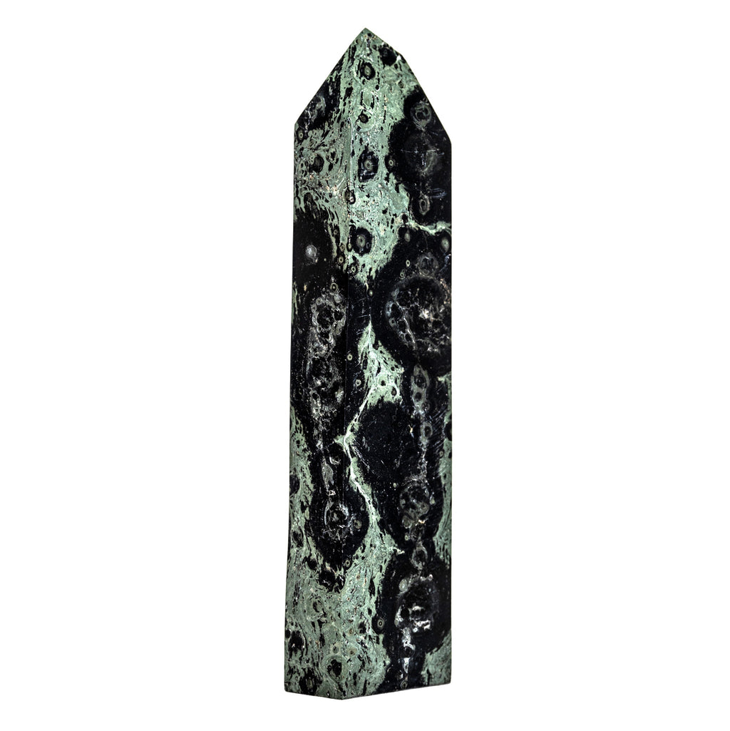 Kambaba Jasper Point 2944g