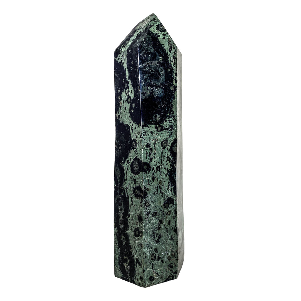 Kambaba Jasper Point 2944g