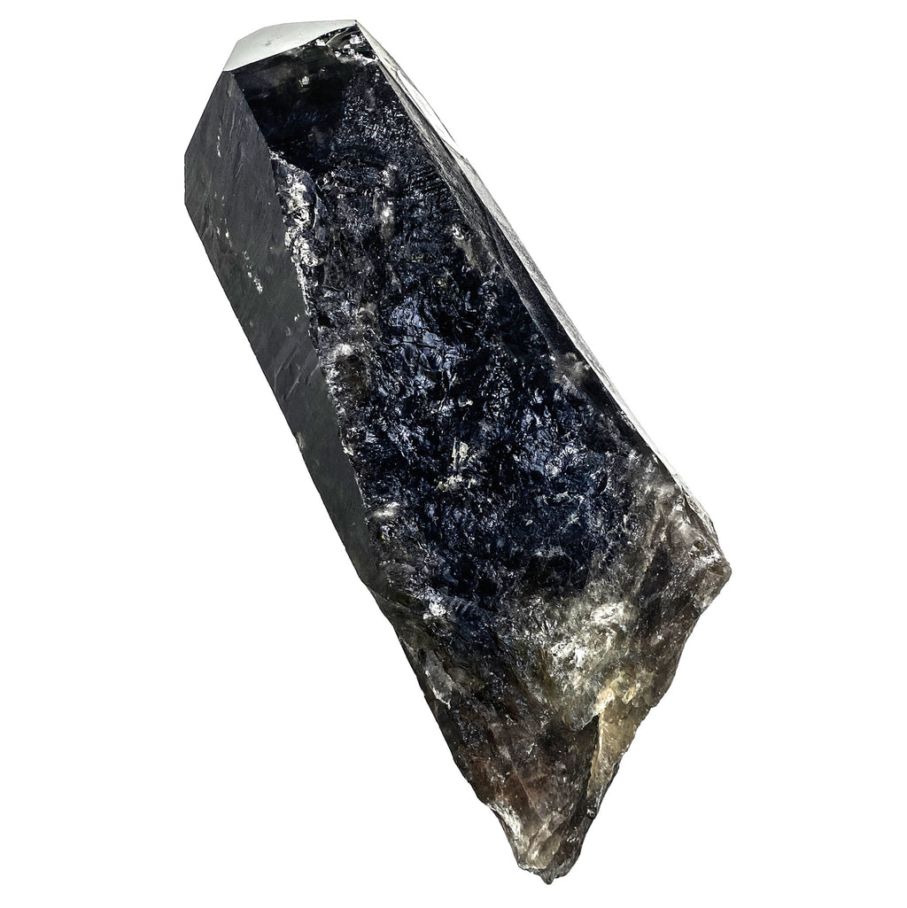 Smokey Lemurian Quartz 2873g Dolphin