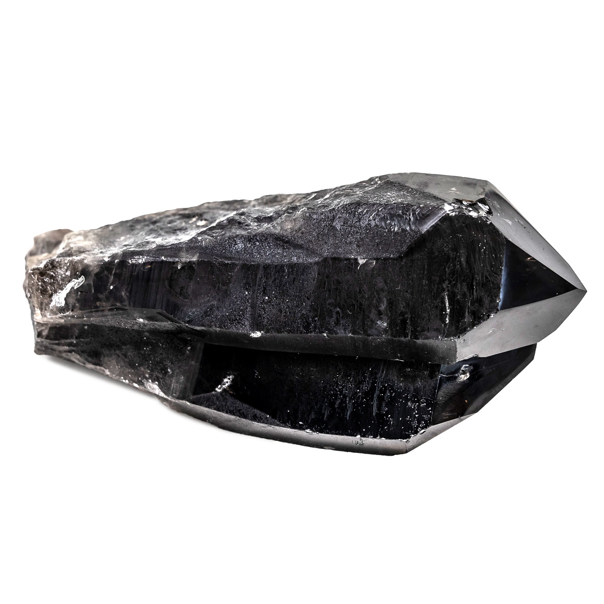 Smokey Lemurian Quartz 2873g Dolphin