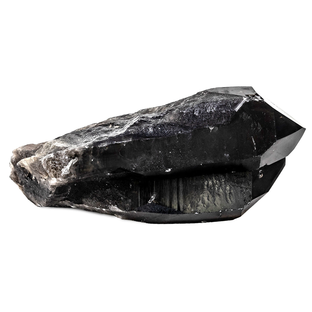 Smokey Lemurian Quartz 2873g Dolphin