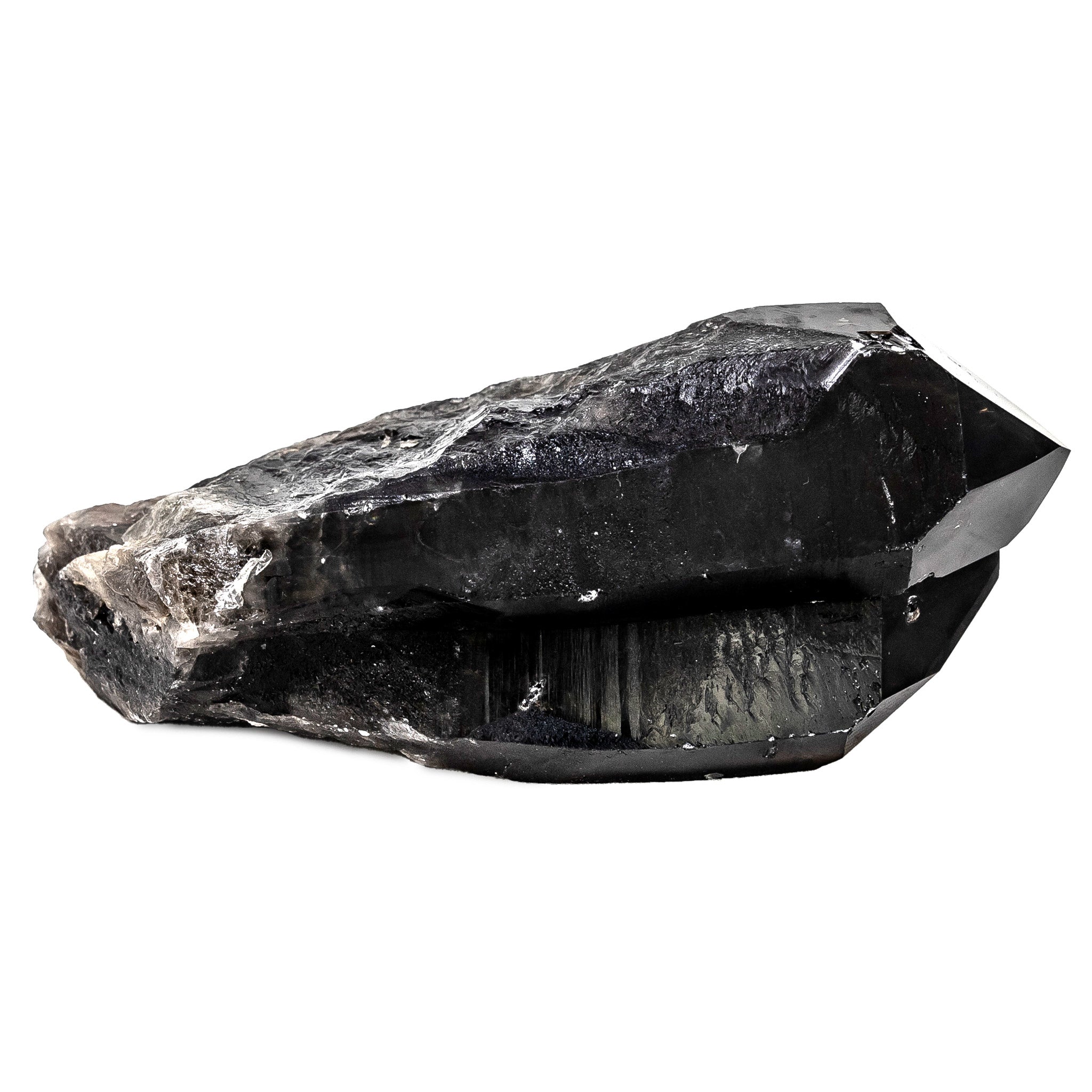 Smokey Lemurian Quartz 2873g Dolphin