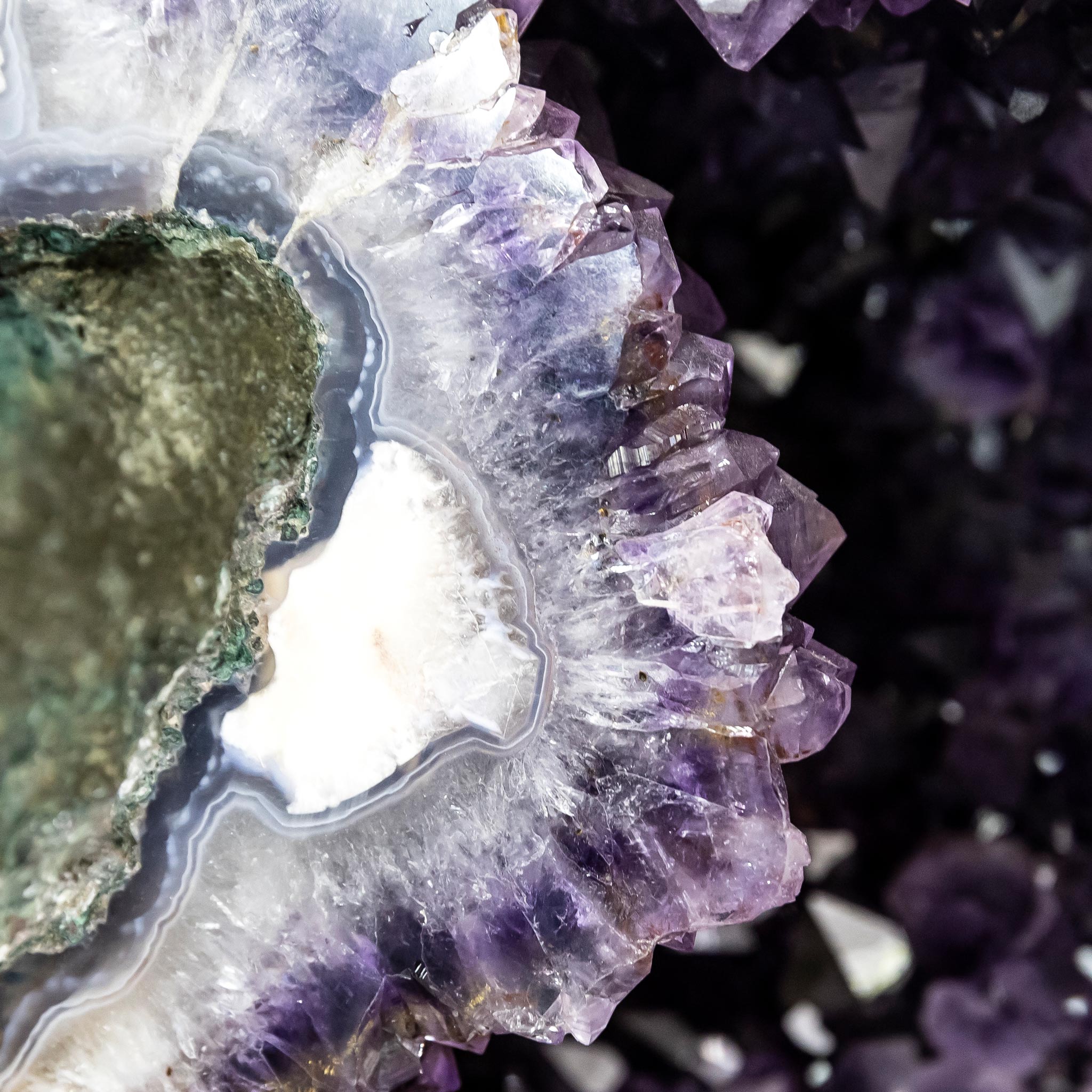 Amethyst Pair Dolphins