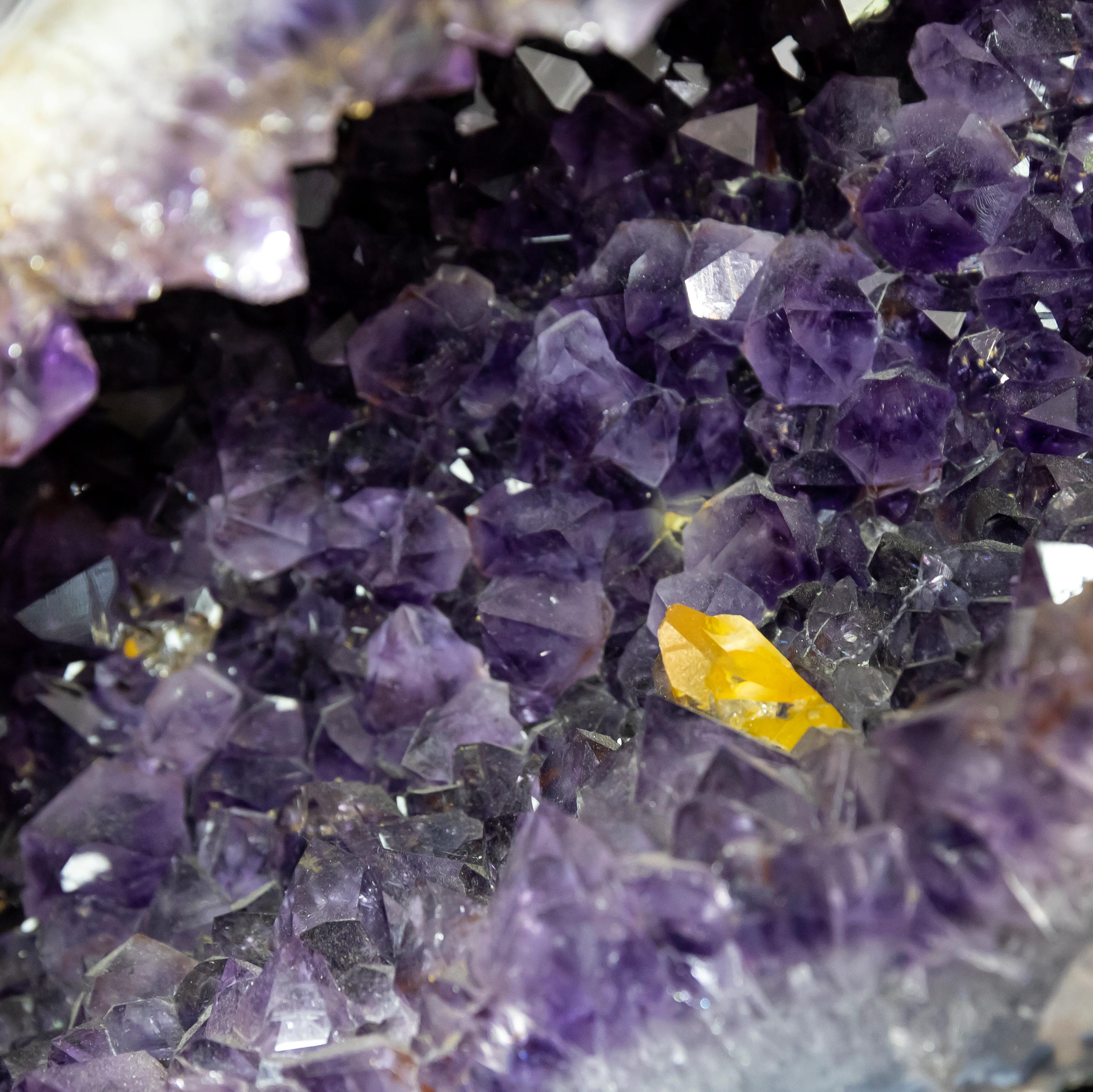 Amethyst Pair Dolphins