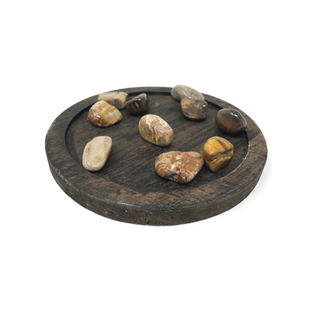 Petrified Wood - Heals Physical Energy