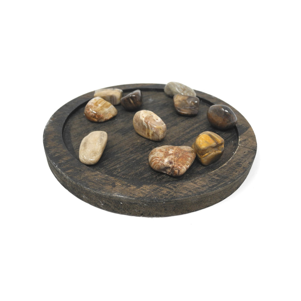 Petrified Wood - Heals Physical Energy