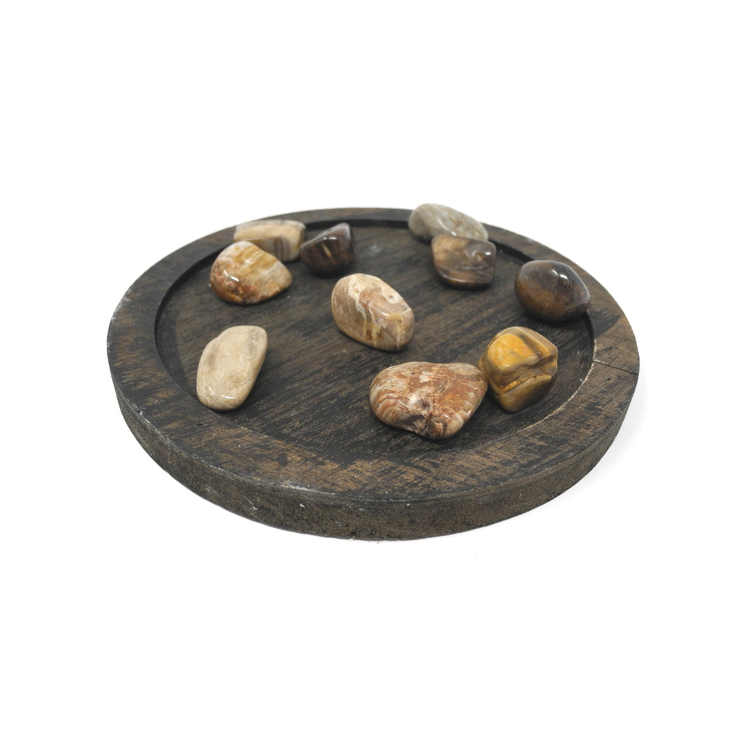 Petrified Wood - Heals Physical Energy