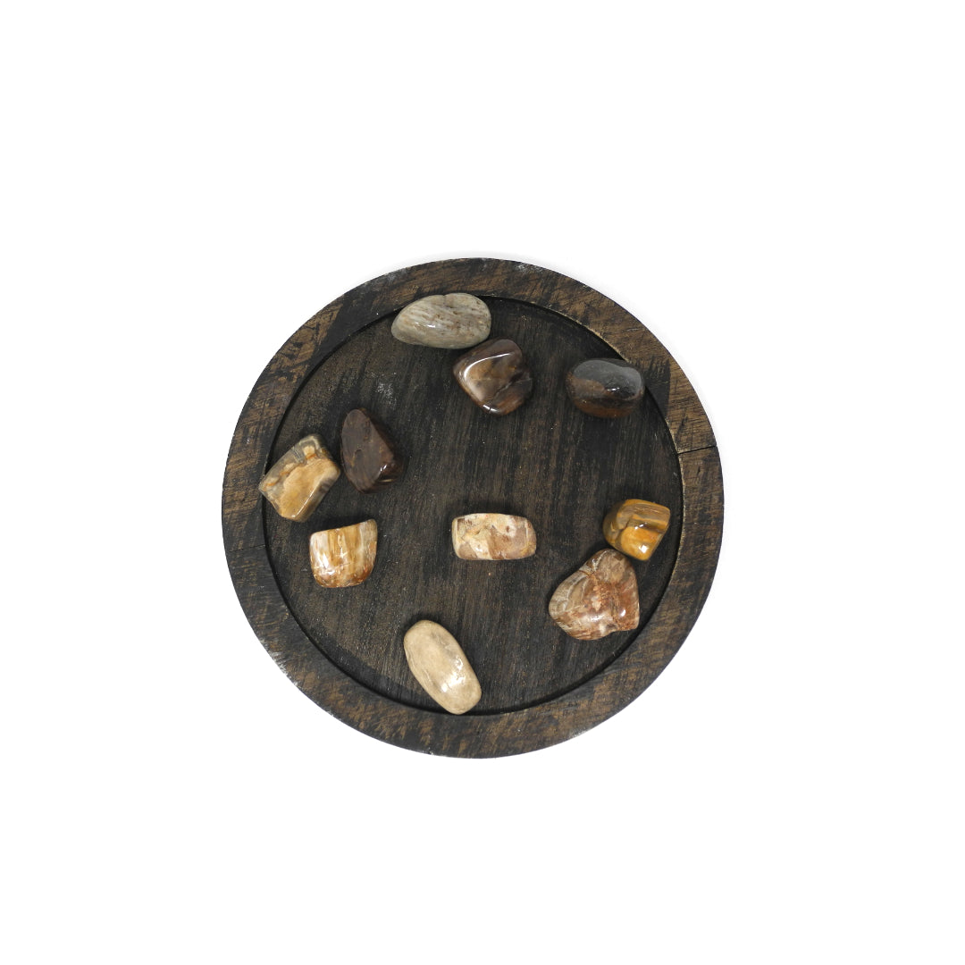 Petrified Wood - Heals Physical Energy