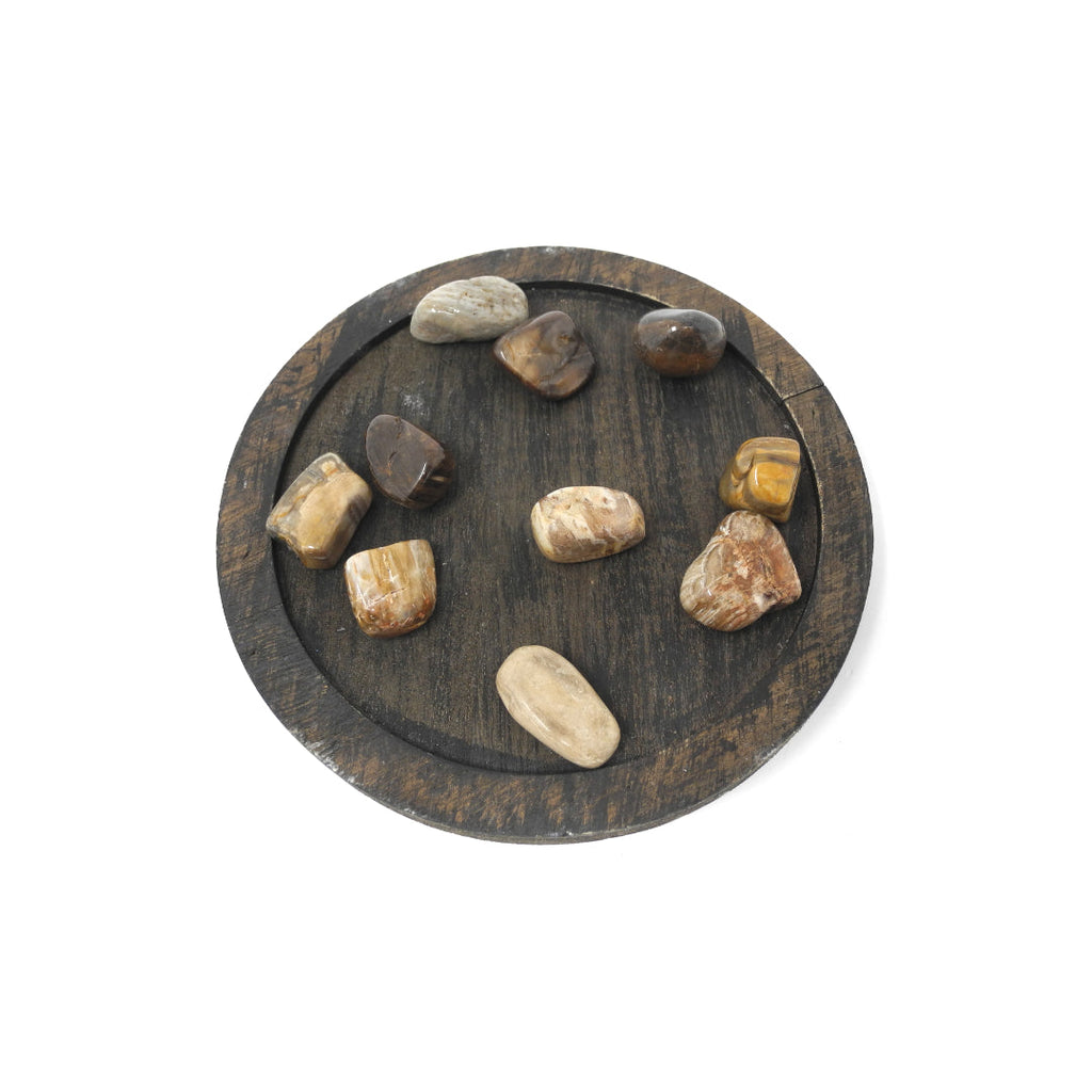 Petrified Wood - Heals Physical Energy