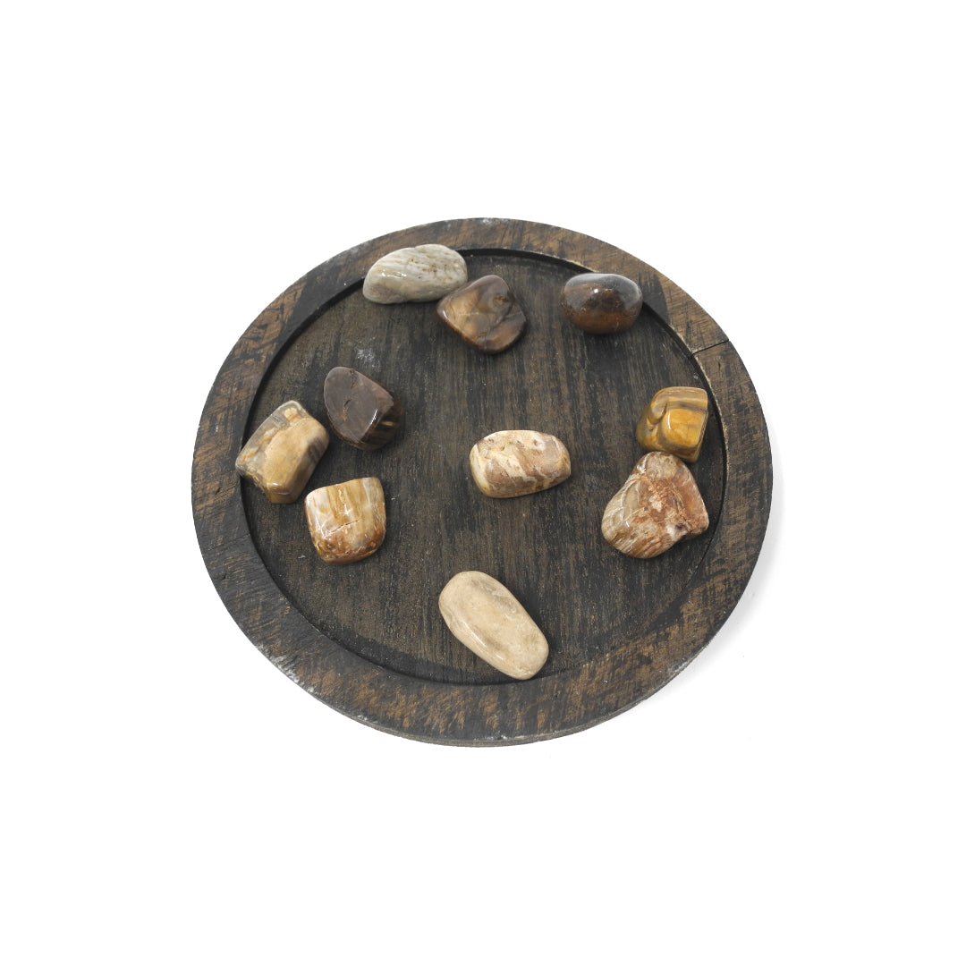 Petrified Wood - Heals Physical Energy