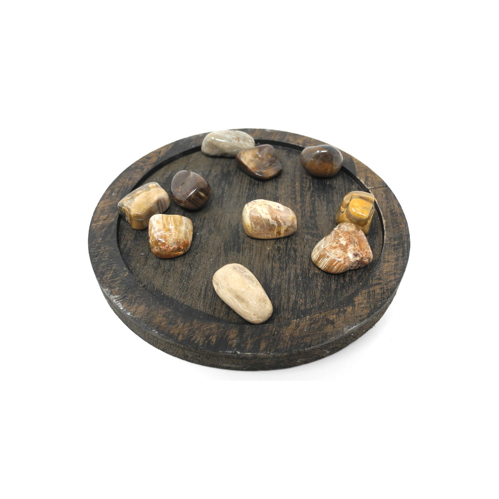 Petrified Wood - Heals Physical Energy