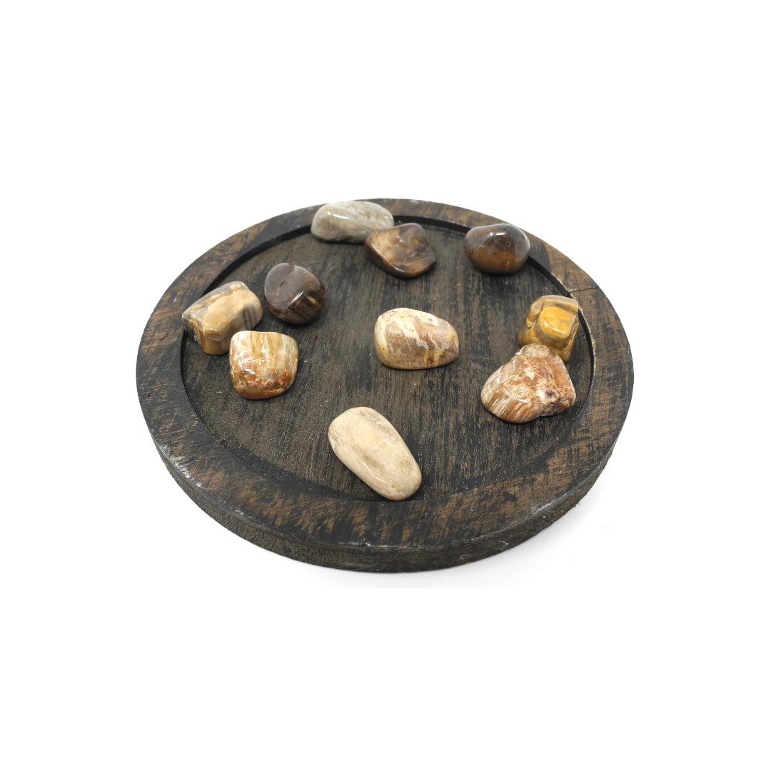 Petrified Wood - Heals Physical Energy