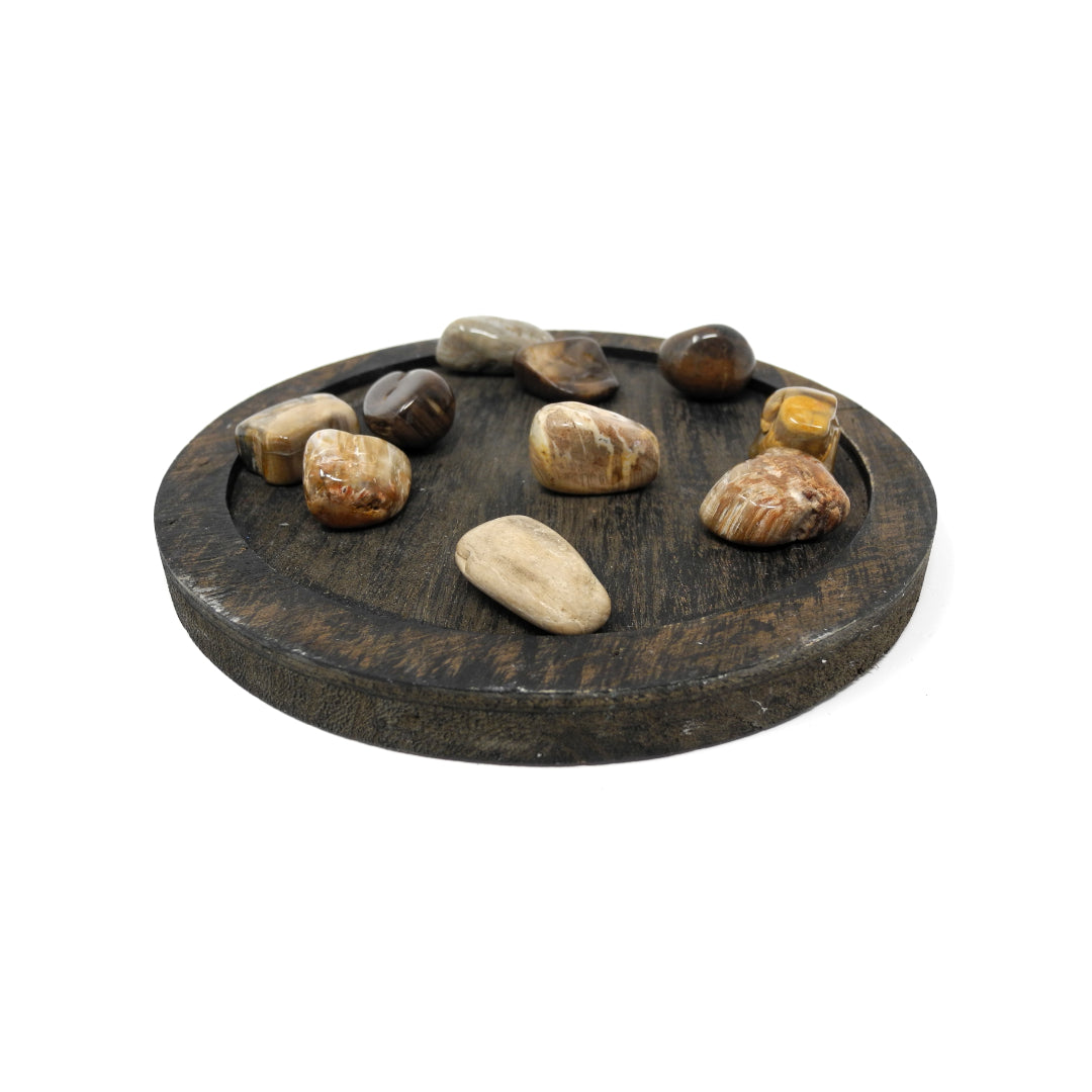 Petrified Wood - Heals Physical Energy