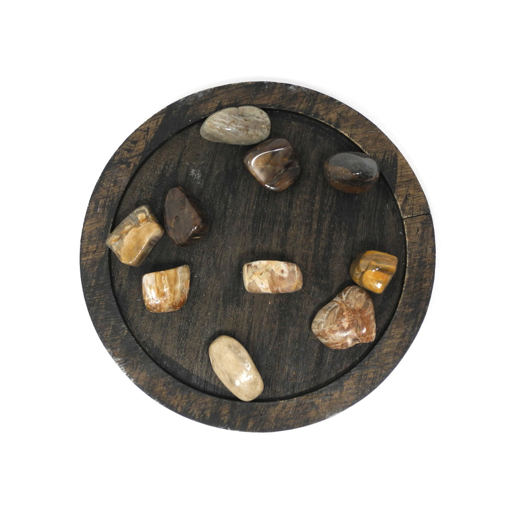 Petrified Wood - Heals Physical Energy