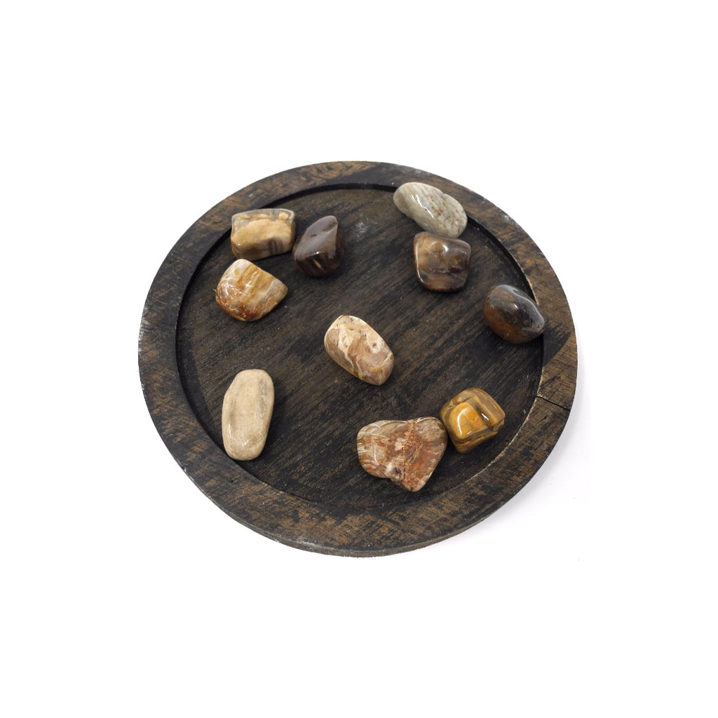 Petrified Wood - Heals Physical Energy