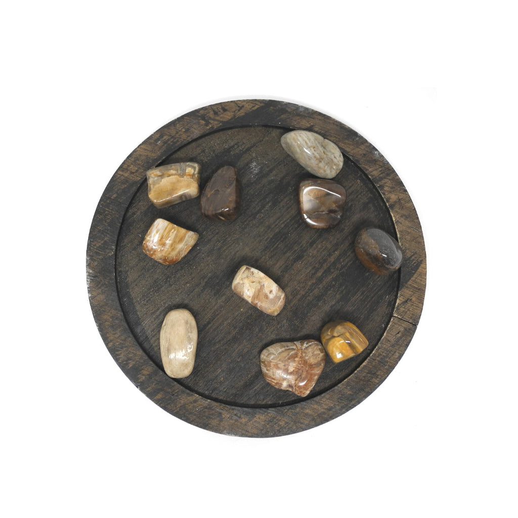 Petrified Wood - Heals Physical Energy