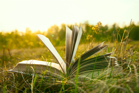 Akashic Records