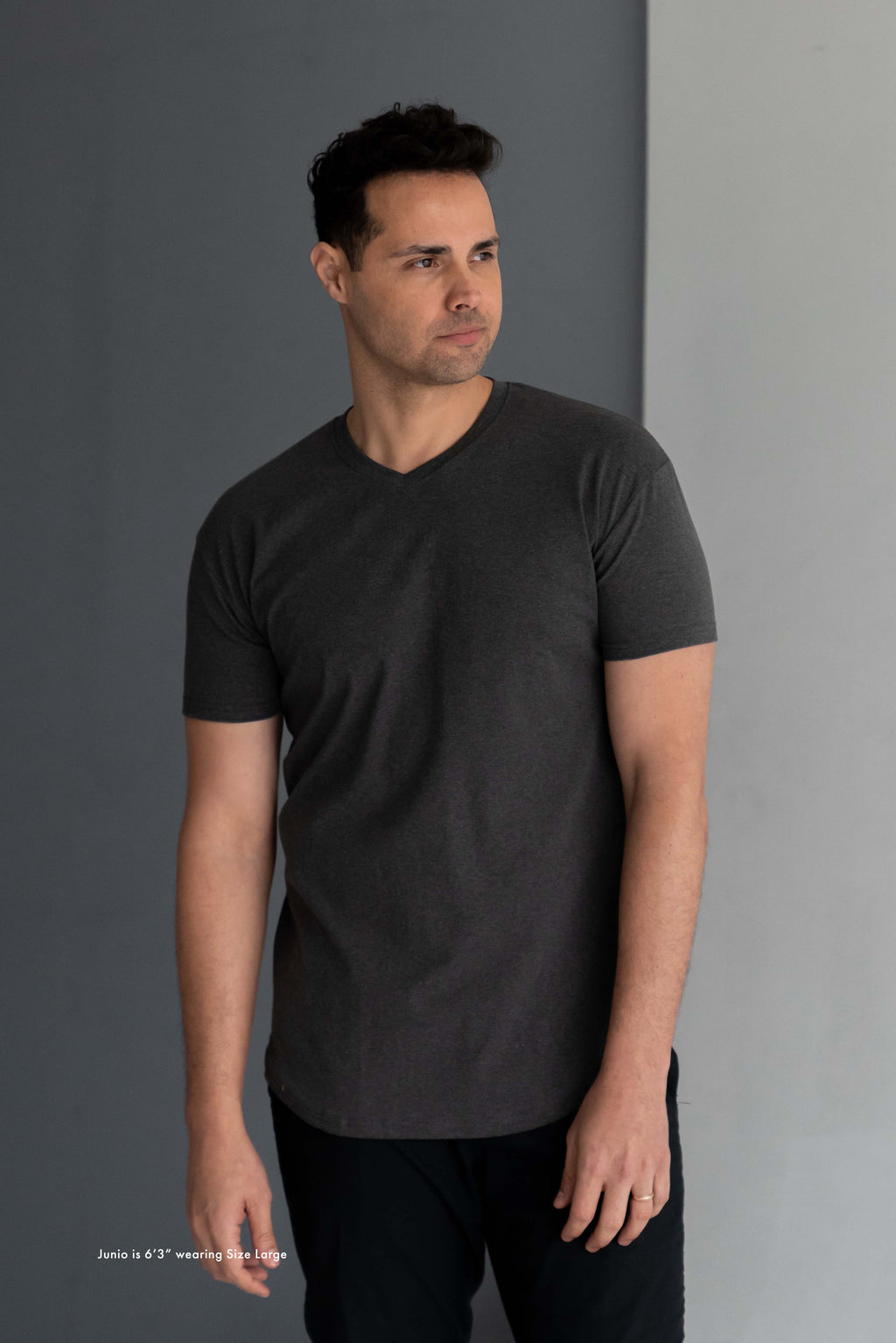 Curve V-Neck T-Shirt: Granite