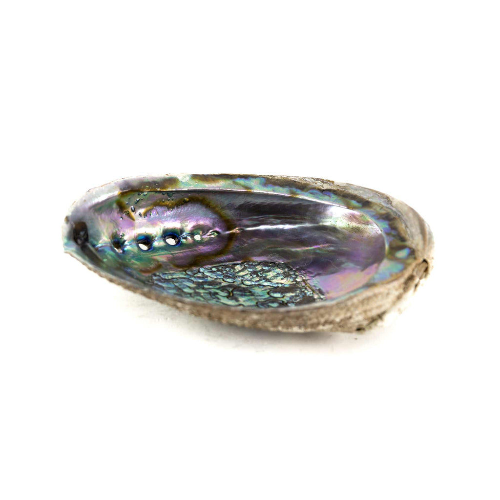 Abalone Smudging Shell