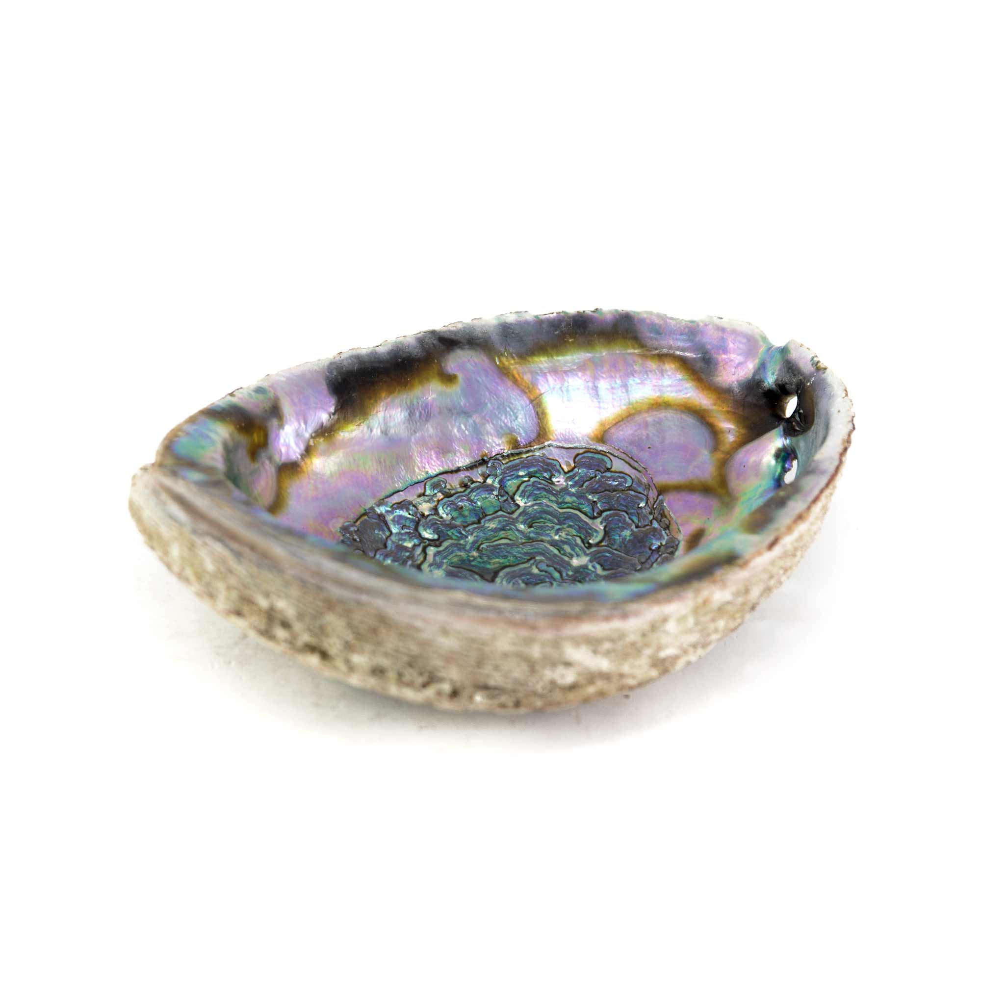 Abalone Smudging Shell