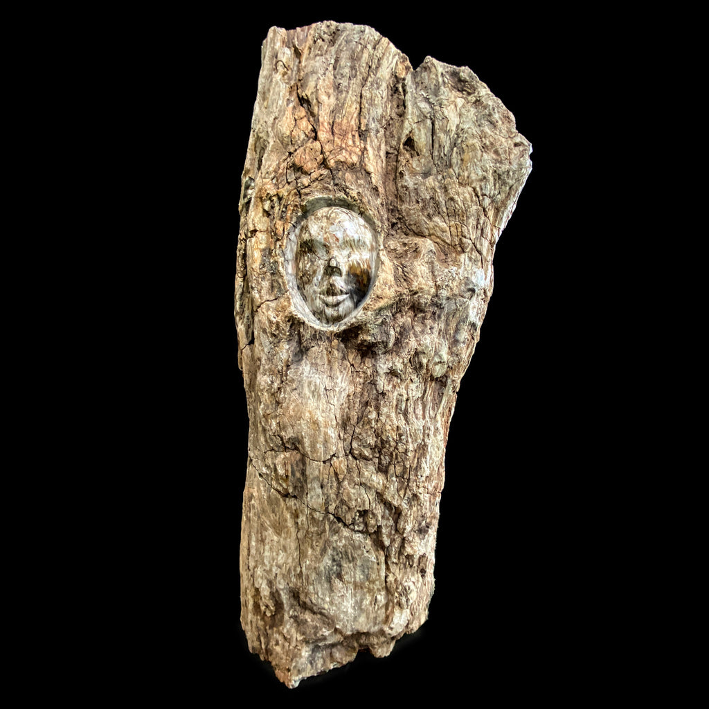 Petrified Tree Trunk with Engraved Face from Madagascar