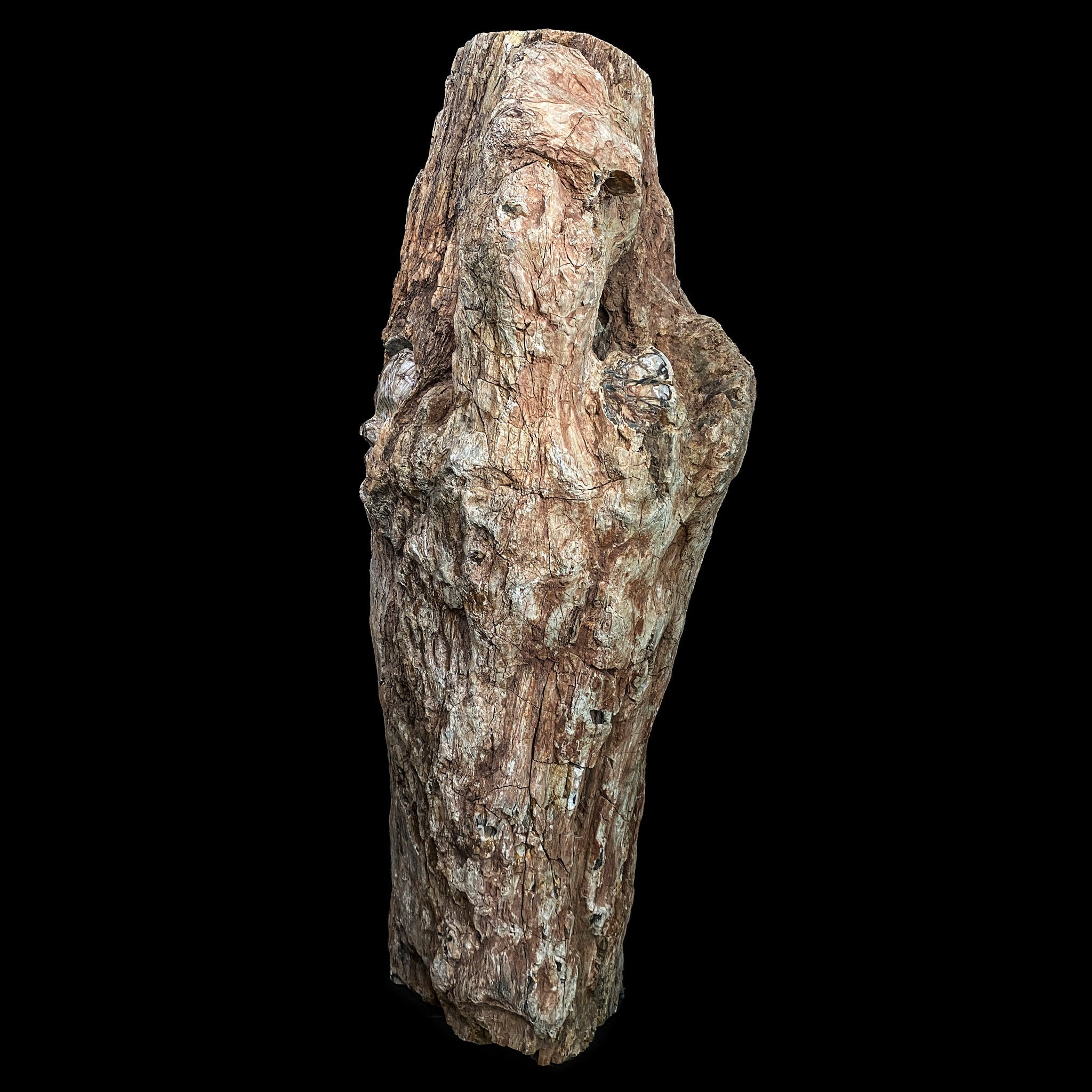 Petrified Tree Trunk with Engraved Face from Madagascar