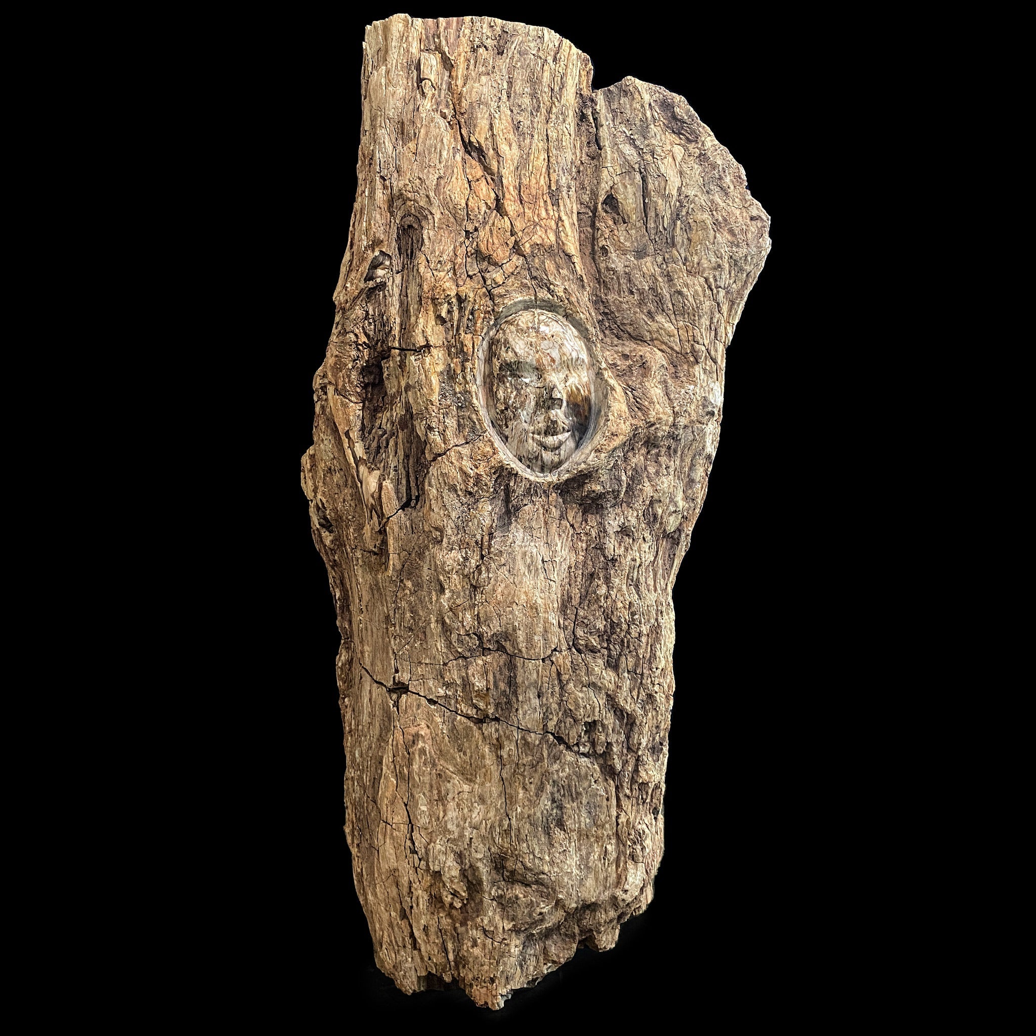 Petrified Tree Trunk with Engraved Face from Madagascar